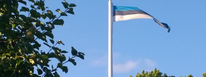 Festakt aus Anlass des 30. Jahrestages der Verabschiedung der Verfassung der Republik Estland
