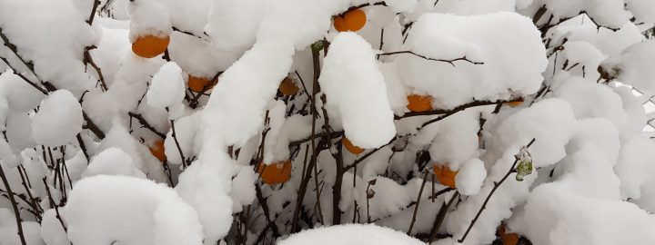Balti filmipäevad Münchenis toimuvad 10.-13.02.2022